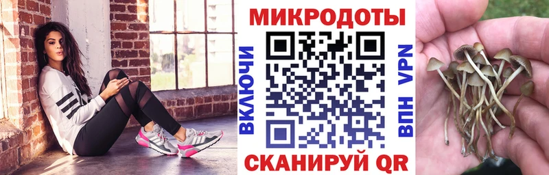 Псилоцибиновые грибы Cubensis  Борисоглебск 